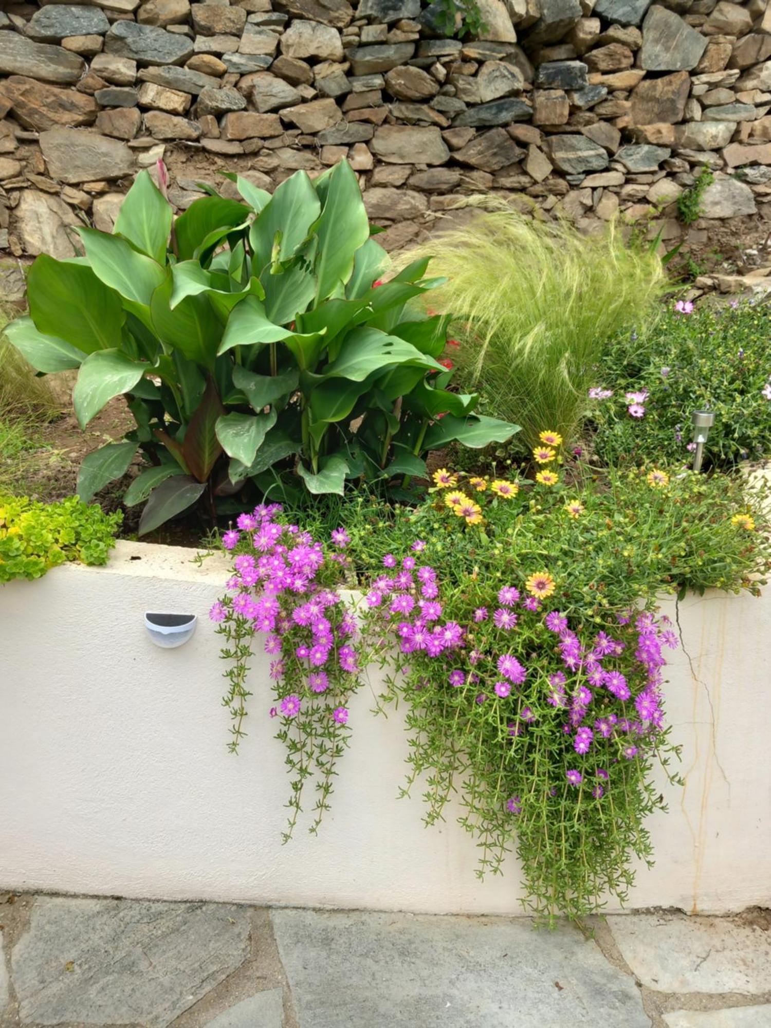 Green Meadow Elevtherai 외부 사진