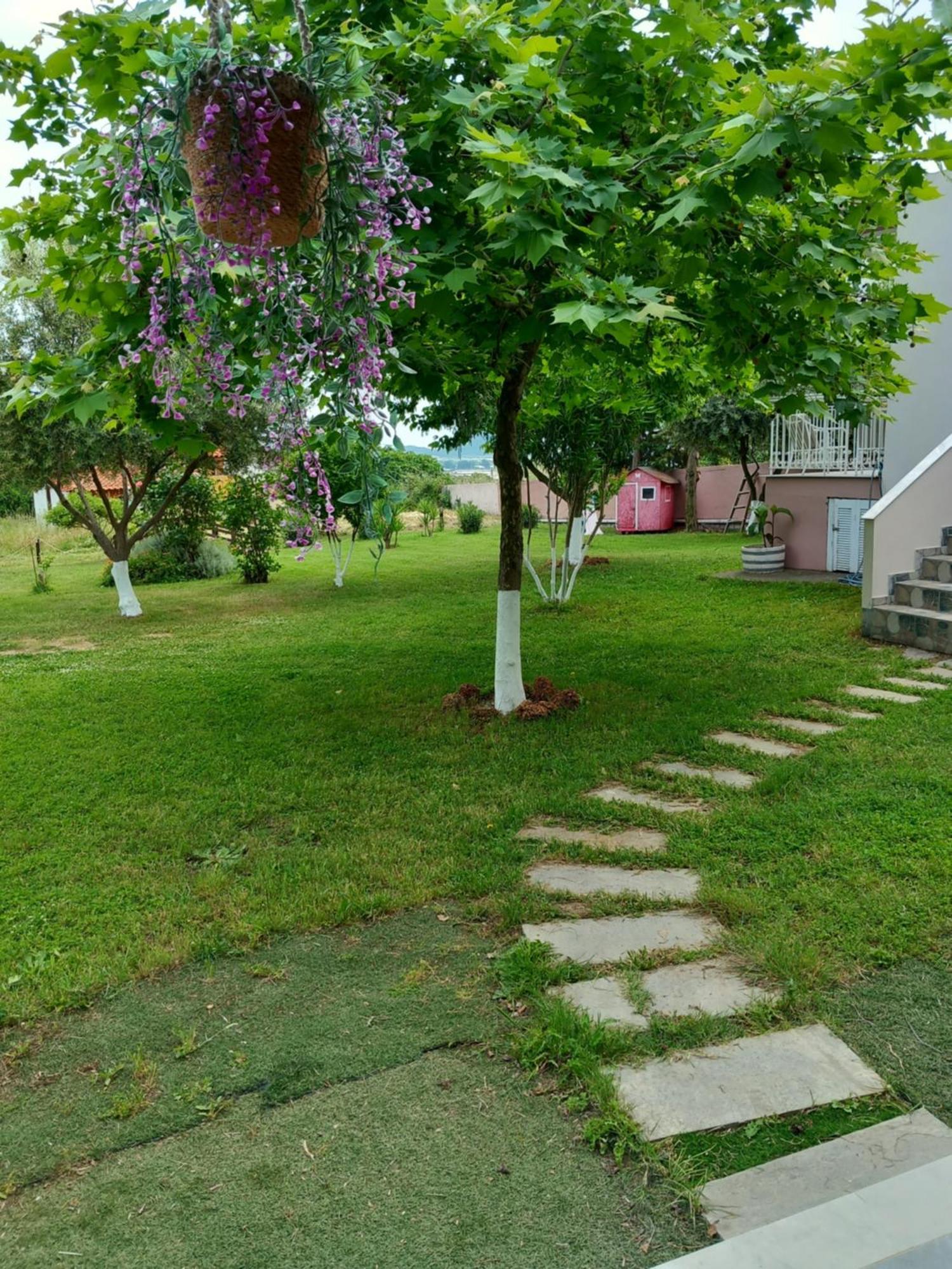 Green Meadow Elevtherai 외부 사진